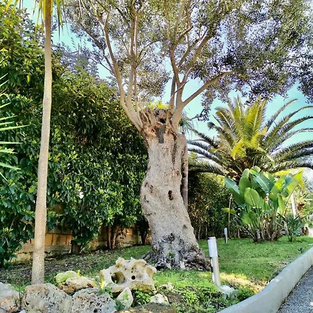 & Mare Bed & Breakfast Torre A Mare